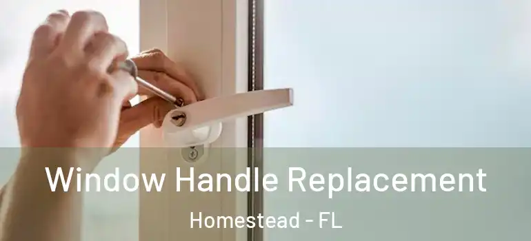  Window Handle Replacement Homestead - FL