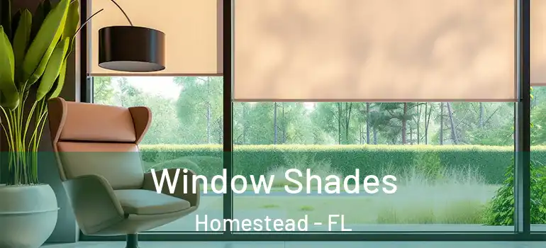  Window Shades Homestead - FL
